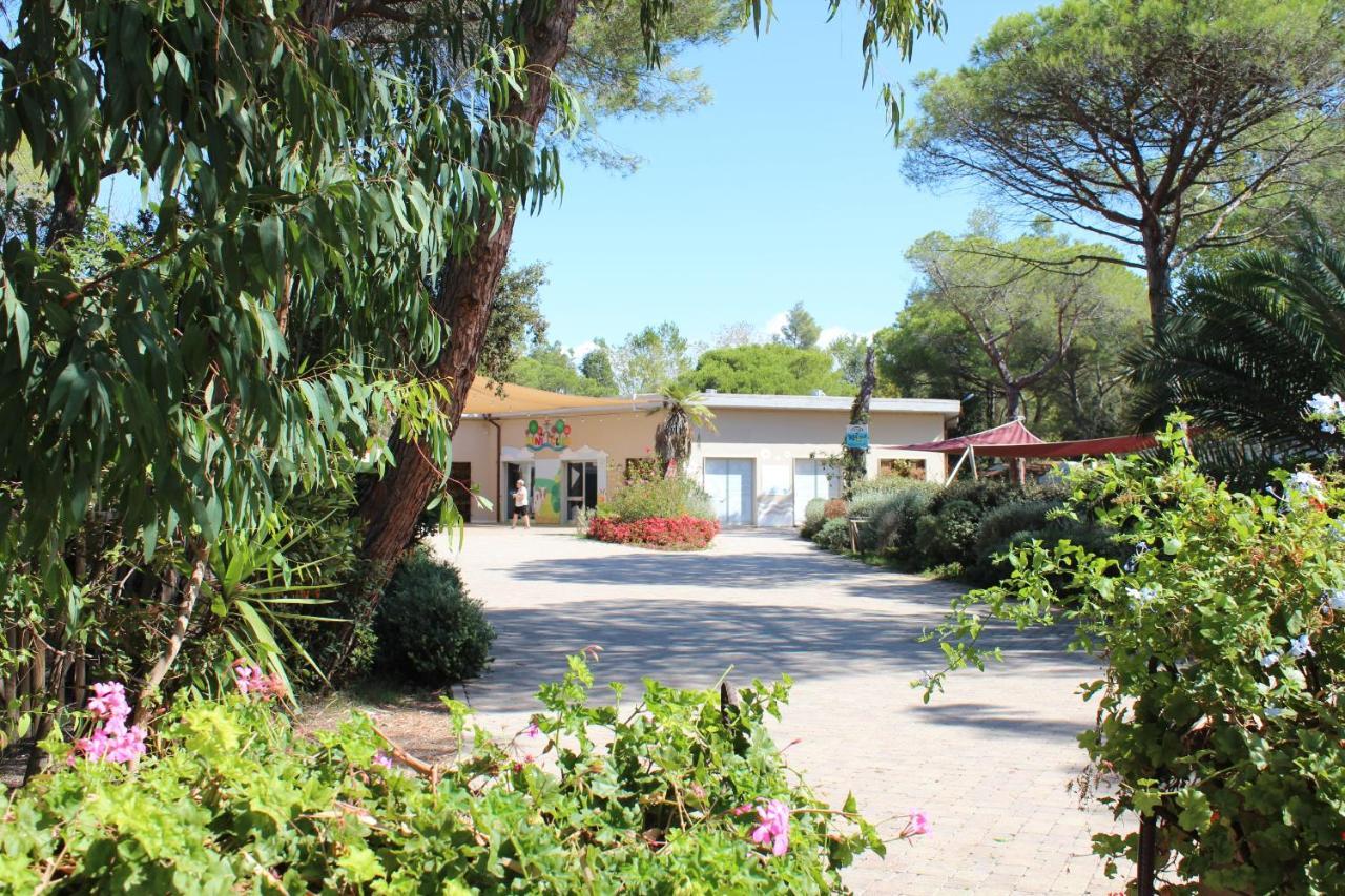 ואדה Camping Campo Dei Fiori - Glamping4All מראה חיצוני תמונה